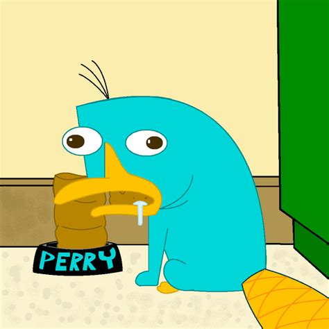 perry das schnabeltier